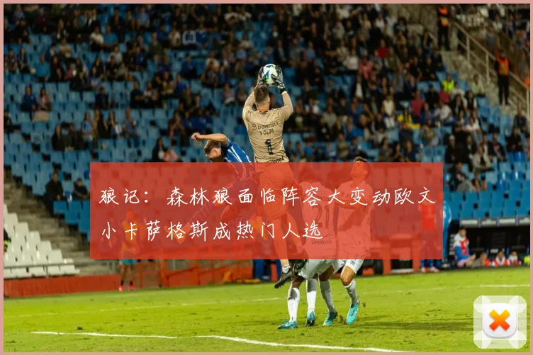 狼记：森林狼面临阵容大变动欧文小卡萨格斯成热门人选